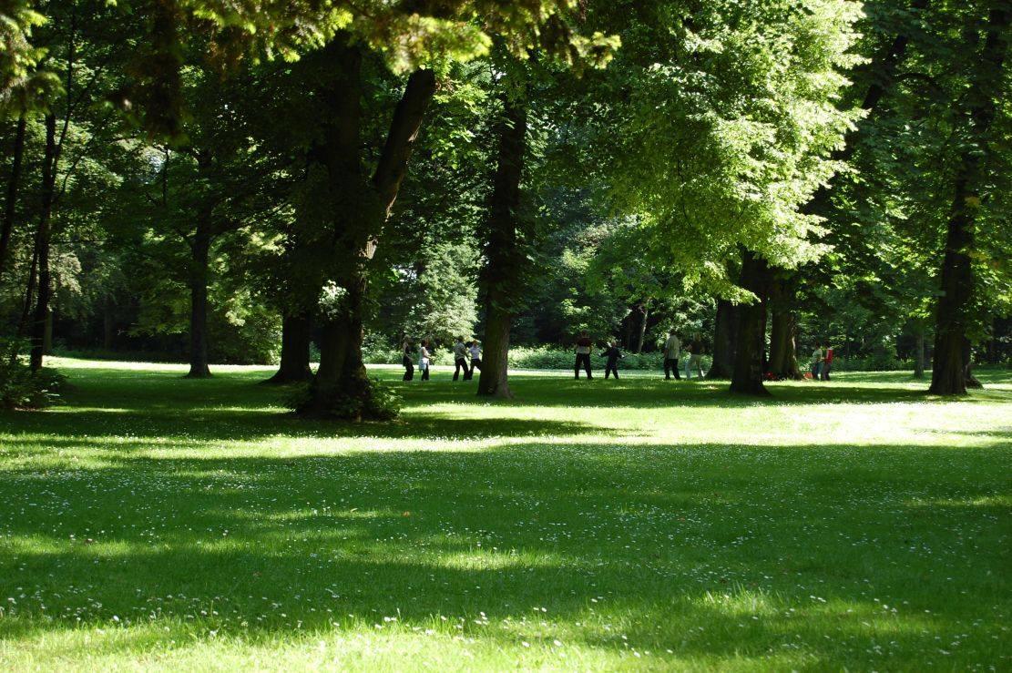 Tai Chi &ndash; Qi Gong im Rumpenheimer Schlosspark
