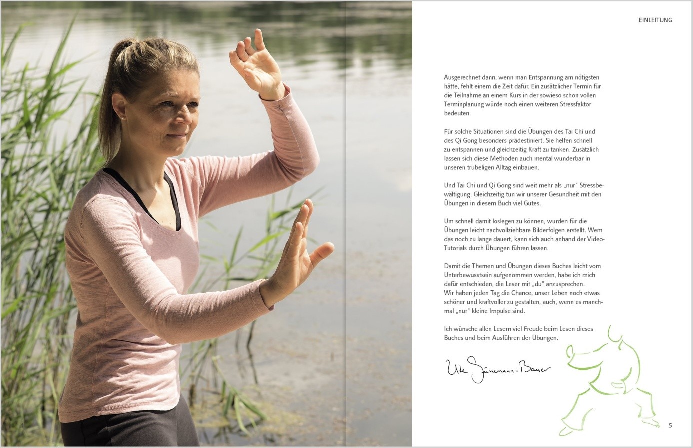 2017 10 19 buch einleitung