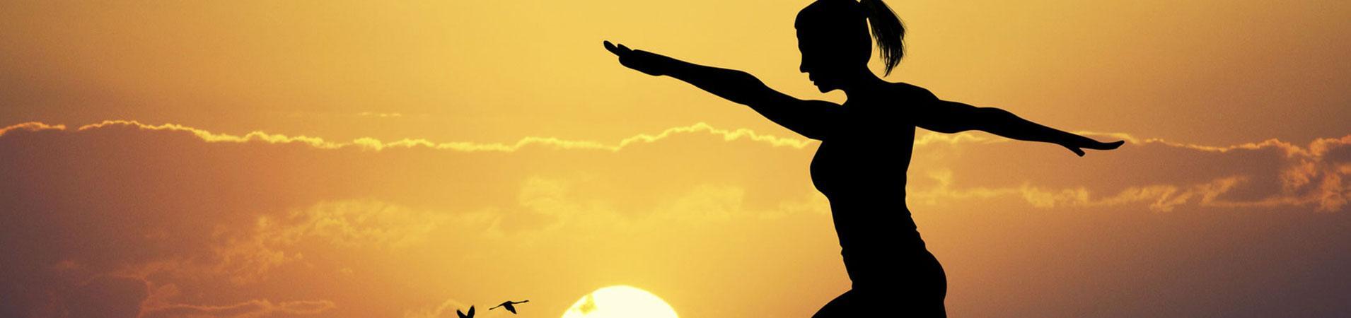 Tai Chi & Qi Gong Kursangebote