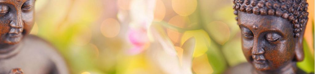 Angebote f&uuml;r Privatpersonen - Tai Chi / Qi Gong