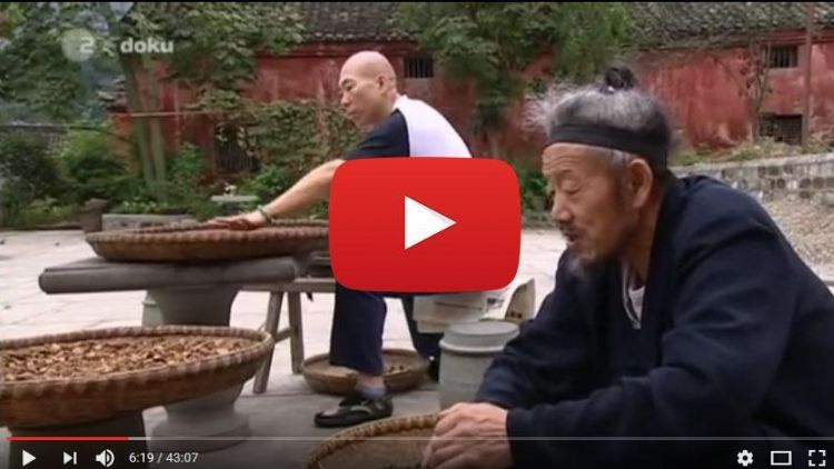 ZDF Doku - Tai Chi - Eine Reise zu den Quellen der Kraft