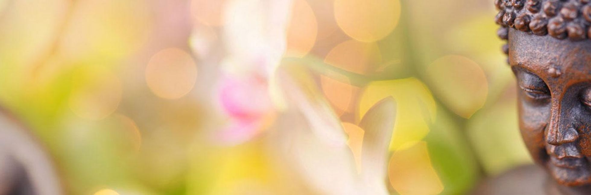 Angebote für Privatpersonen - Tai Chi / Qi Gong