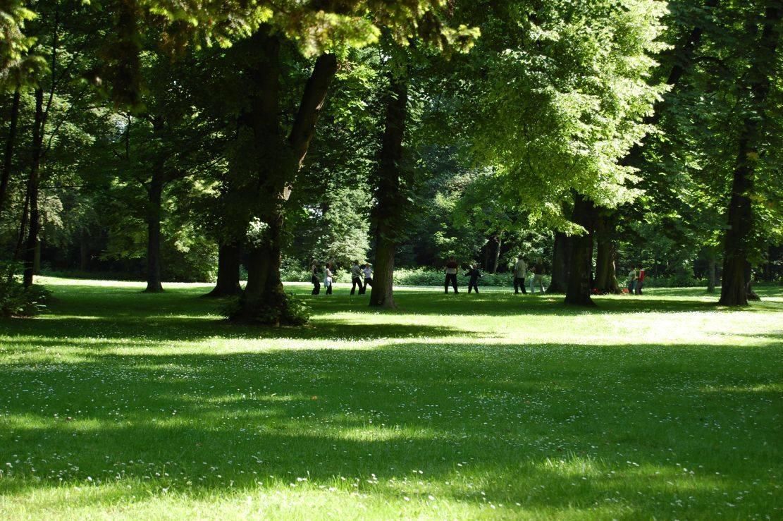 Tai Chi – Qi Gong im Rumpenheimer Schlosspark